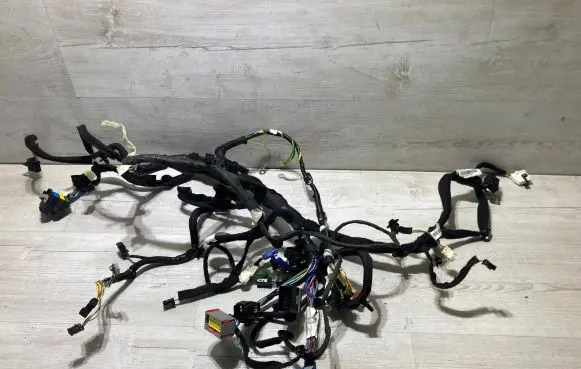 Citroen C3 Panel wiring 9813709280 09919065