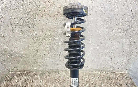BMW X3 F25 Rear shock absorber with coil spring 6796317