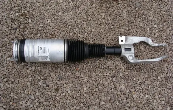 Land Rover Range Rover Sport L494 Front shock absorber with coil spring DPLA-3C286-AJ