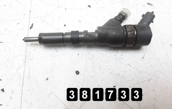 Citroen C5 Fuel injector 0445110076