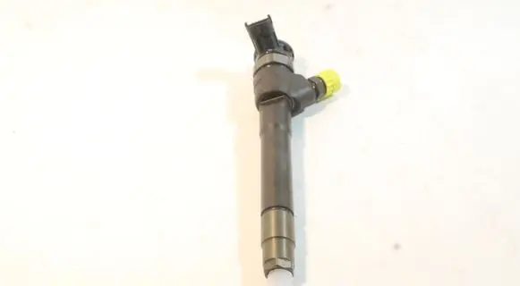 Nissan Qashqai Fuel injector 0445110546