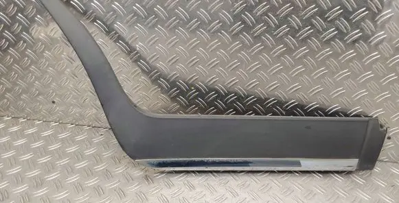Toyota Urban Cruiser (XP110) Rear door trim (molding) 