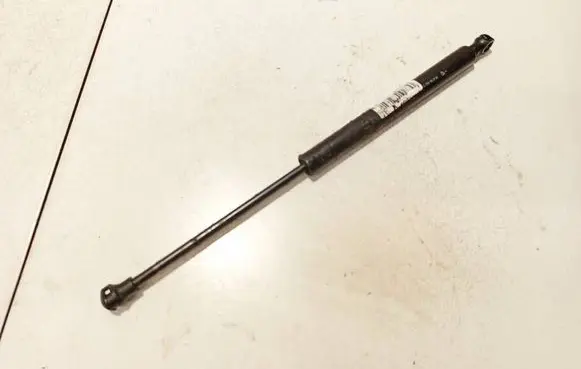 Tailgate/trunk strut/damper