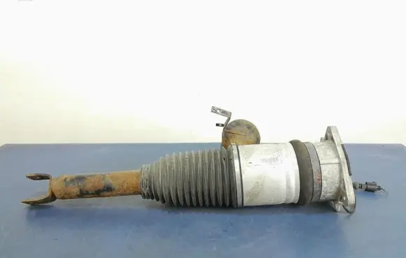 Audi A8 S8 D3 4E Rear shock absorber/damper 4E0616002E
