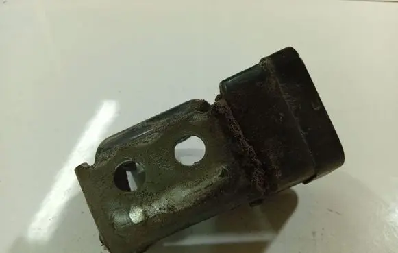 Renault Scenic II - Grand scenic II Rear door lower hinge 