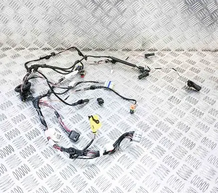 Tesla Model X Rear door wiring loom 103244100G