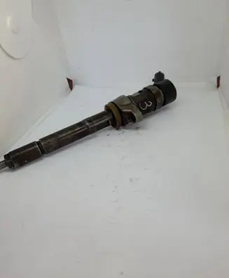 Peugeot Expert Fuel injector 0445110239