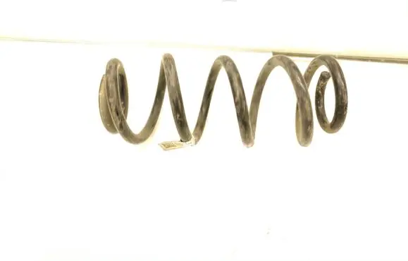 Rear coil spring