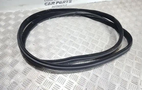 Jaguar XF X250 Front door rubber seal