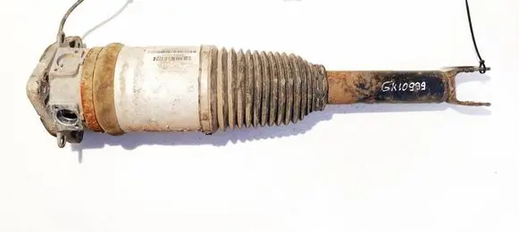 Audi A8 S8 D3 4E Rear shock absorber/damper 4E0616001G