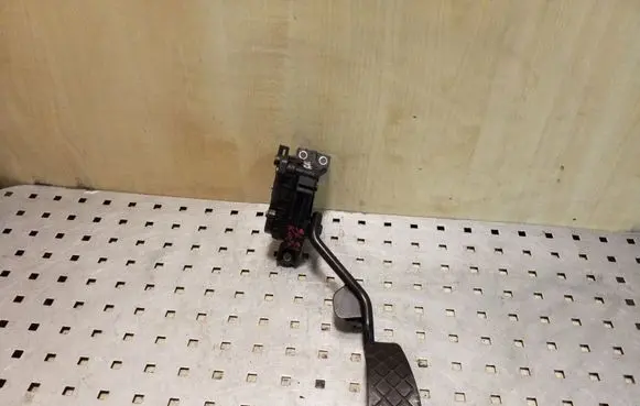 Volkswagen PASSAT B5.5 Accelerator throttle pedal 6PV00777008 8E2721523
