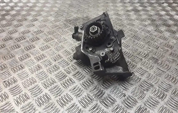 Peugeot Partner Fuel injection high pressure pump 9684778280