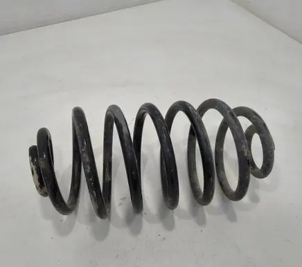 Rear coil spring