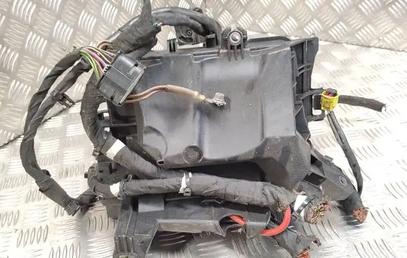 Mercedes-Benz B W246 W242 Fuse module a2469980601 a0025428919