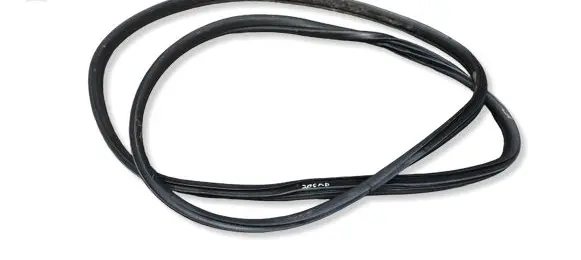 BMW X6 E71 Front door rubber seal 