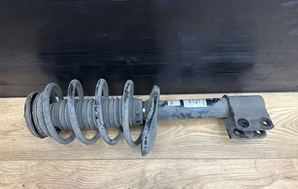 Peugeot Partner Front shock absorber with coil spring 314888