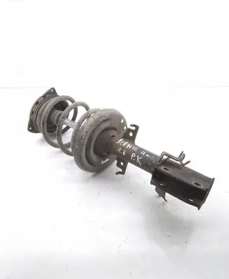 Renault Scenic III - Grand scenic III Front shock absorber/damper 54302001R