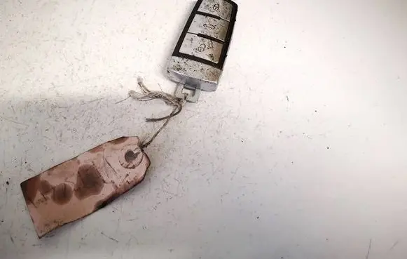 Volkswagen PASSAT B7 Ignition key/card 