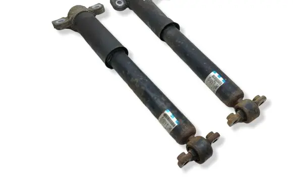 Ford Edge II Rear shock absorber/damper F2GC18W002