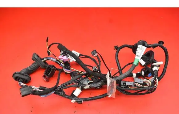 Other wiring loom