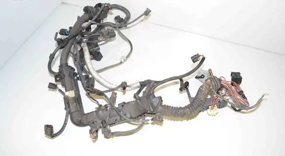 Other wiring loom