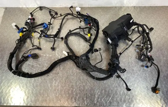 Engine installation wiring loom