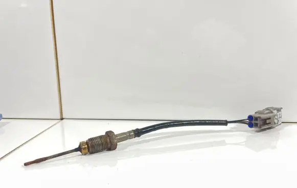 Toyota RAV 4 (XA30) Exhaust gas temperature sensor