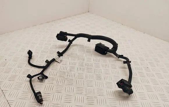 Renault Kadjar Other wiring loom 2500607300 5627280020