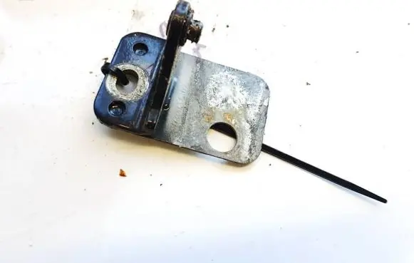Audi Q7 4L Rear door lower hinge