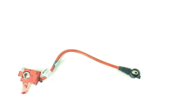 BMW 7 F01 F02 F03 F04 Positive cable (battery) 10057310 1741710 9217032