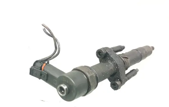 Renault Espace - Grand espace IV Fuel injector 8200084534
