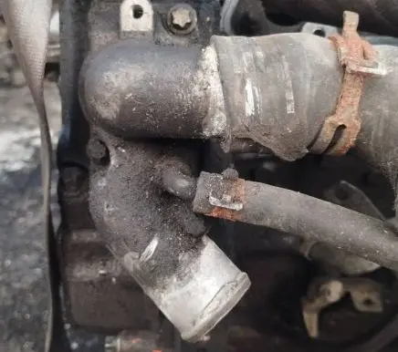 Opel Signum Engine coolant pipe/hose