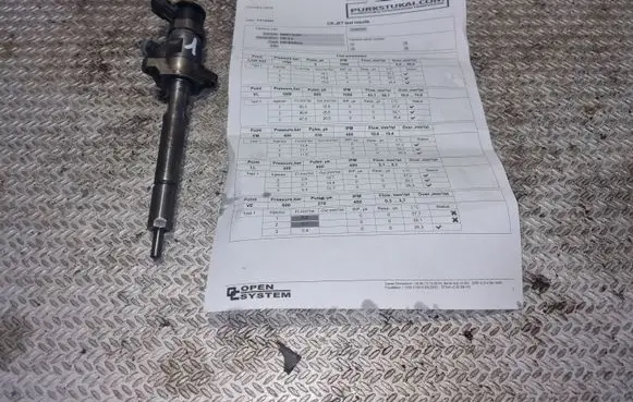 Citroen Berlingo Fuel injector 0445110297