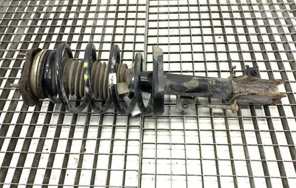 Fiat Doblo Front shock absorber/damper 