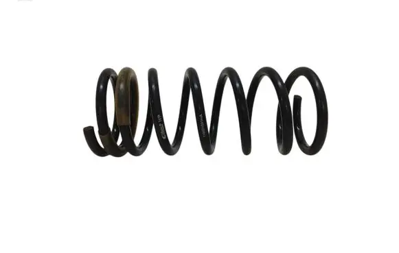 Rear coil spring