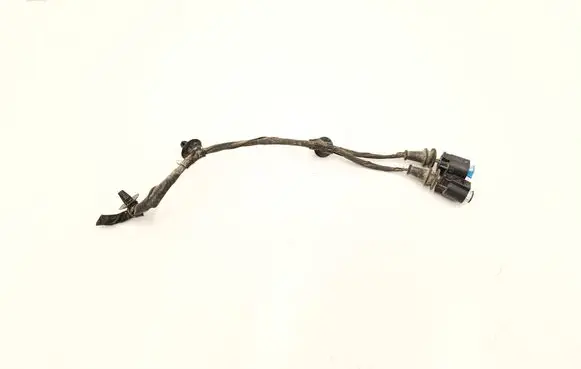 BMW X3 G01 Other wiring loom 8795955 8795958