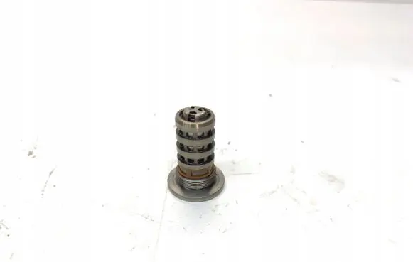 Audi A4 S4 B6 8E 8H Camshaft vanos timing valve 06L109257FOK