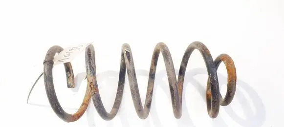 Rear coil spring