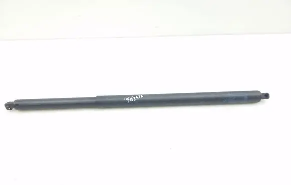 Tailgate strut