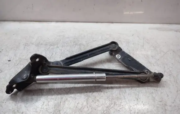 Volkswagen Phaeton Tailgate/trunk/boot hinge 3D5827301Q