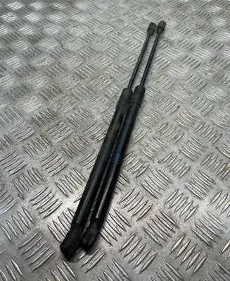Tailgate/trunk strut/damper