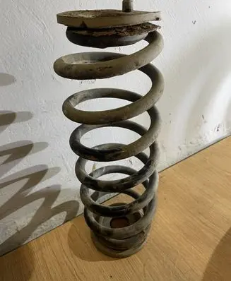 Volkswagen PASSAT B6 Rear coil spring
