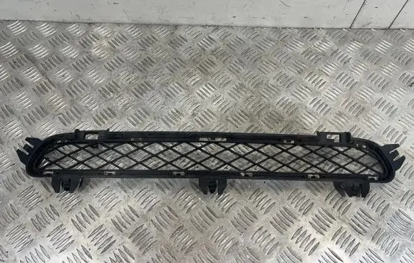BMW X3 F25 Front bumper lower grill 7210466