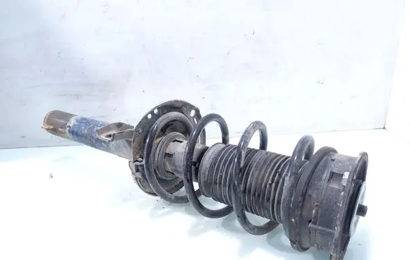 Skoda Octavia Mk3 (5E) Front shock absorber with coil spring 1266230016