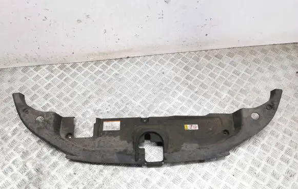 Engine bonnet/hood lock trim molding