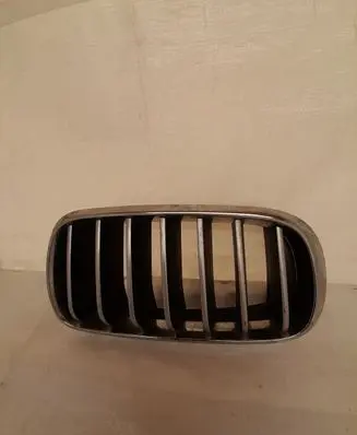 BMW X6 F16 Front bumper upper radiator grill 7316076 7316058 7316054