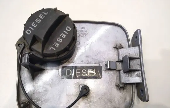 Hyundai Trajet Fuel tank cap 695103A000