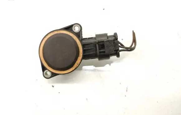 Skoda Superb B6 (3T) Throttle valve position sensor 06J907386