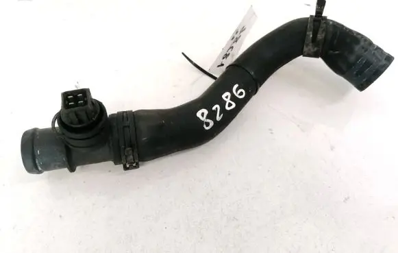 Seat Alhambra (Mk1) Engine coolant pipe/hose