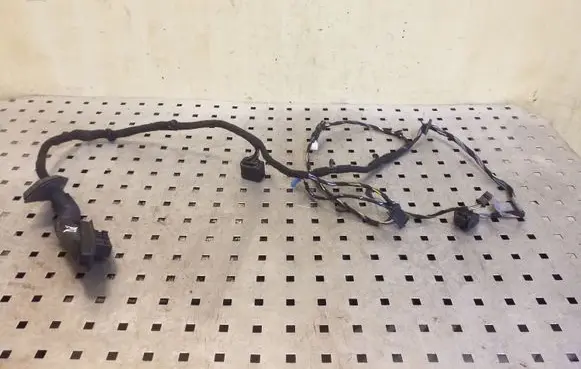 BMW X1 E84 Front door wiring loom 9191808